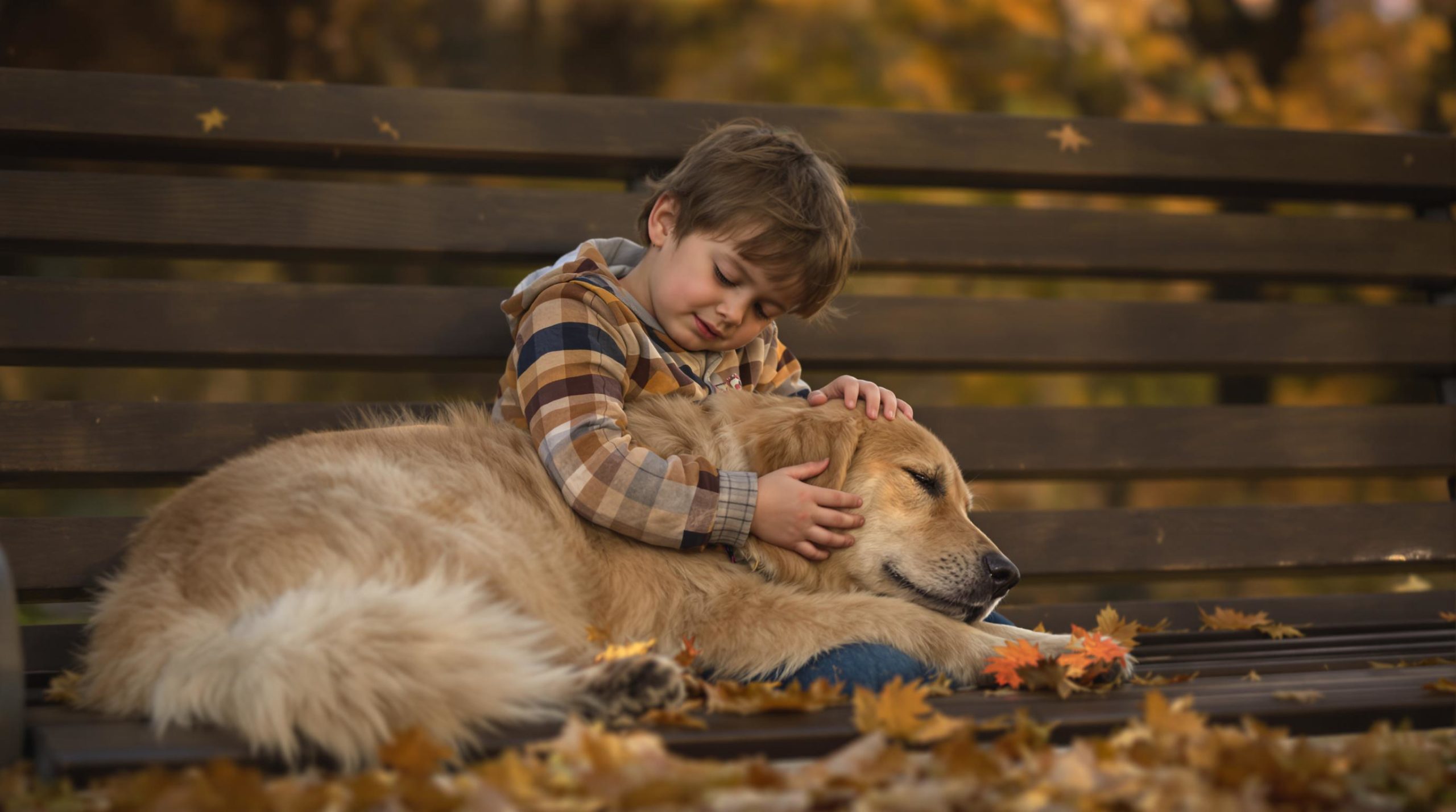deuil animal enfant